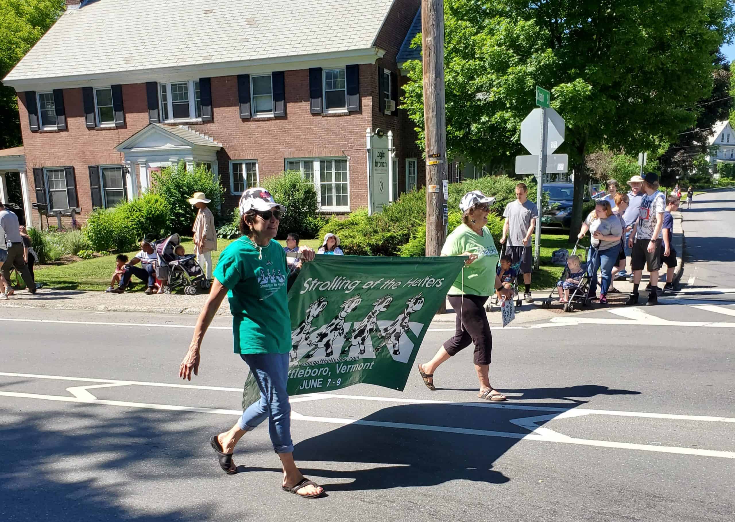 2019 Strolling of the Heifers - Photo by Renee Smith