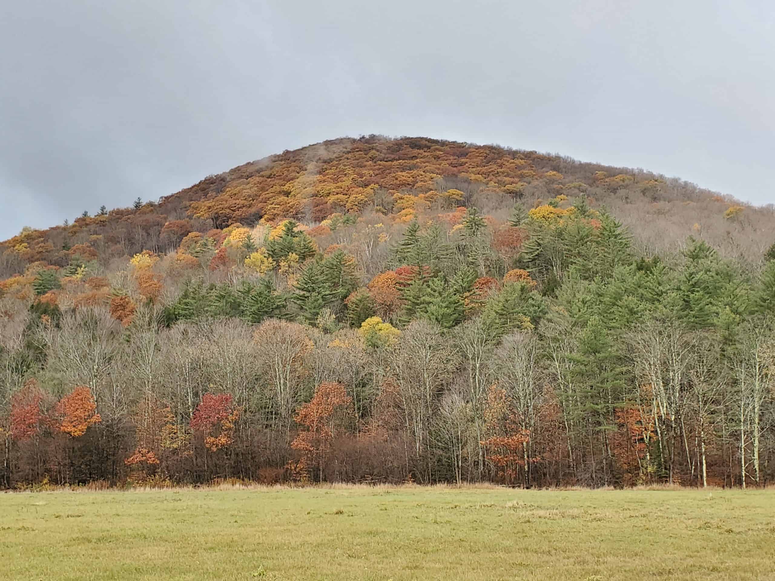 2019/10/23 - End of Foliage Season - by Renee-Marie Smith