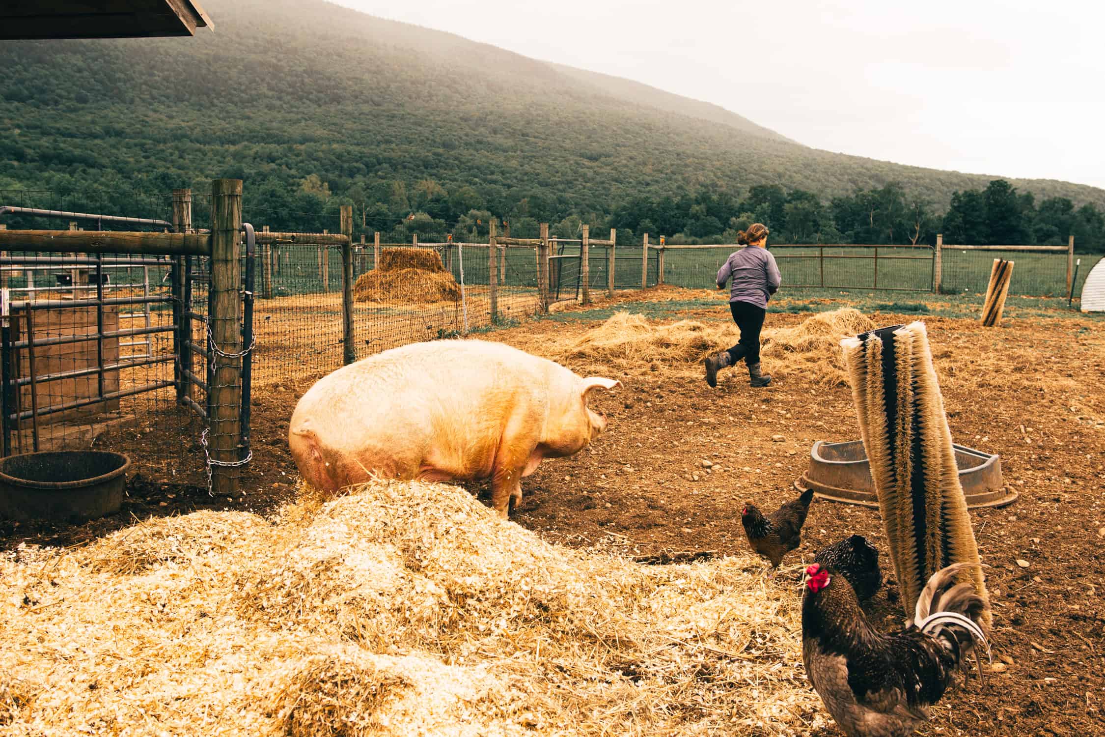 Explore Manchester - Hildene - Dene Farm - 05_29_25-18