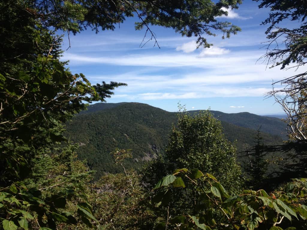Hellbrook Trail Through Canopy