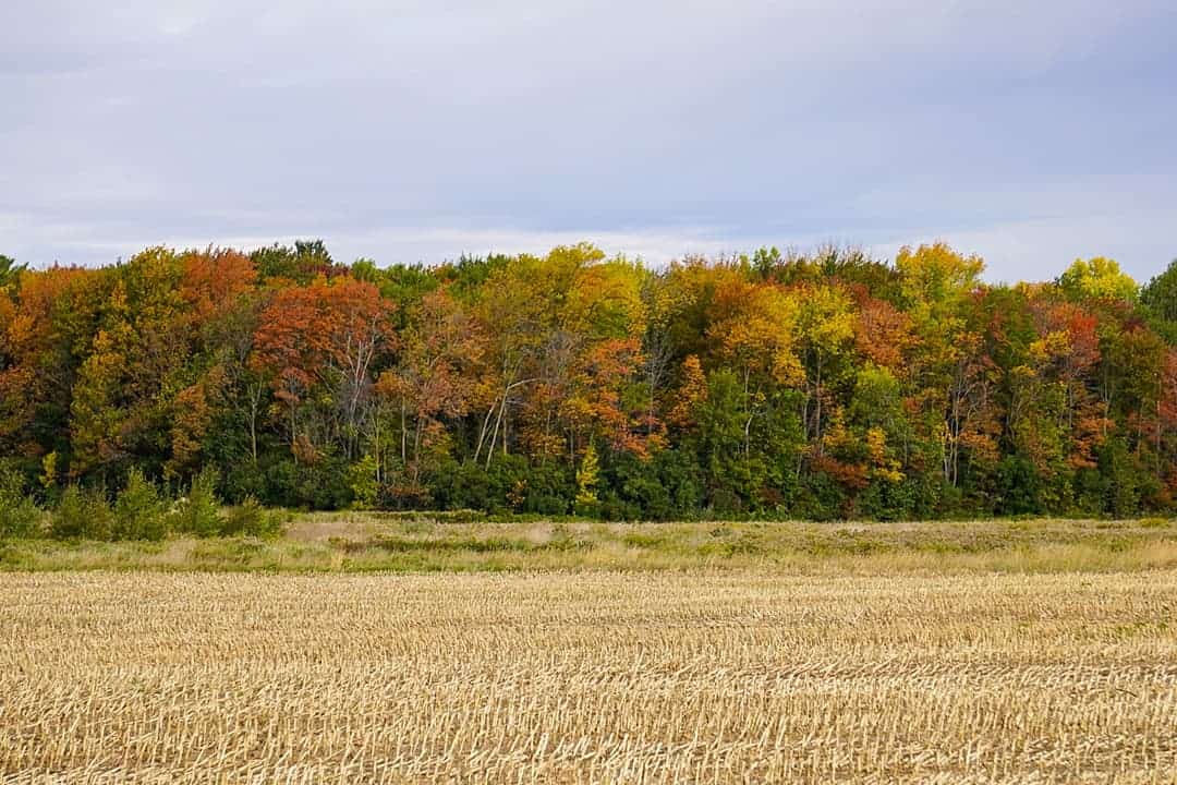 Patricia Parrow - St Albans - Swanton - 09/26/21