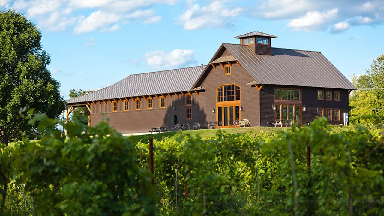 Shelburne Vineyards Exterior Vines
