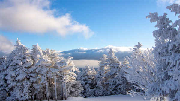 Stratton - February 2020