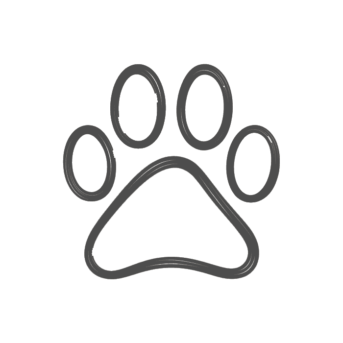 Pet-Friendly-Icon