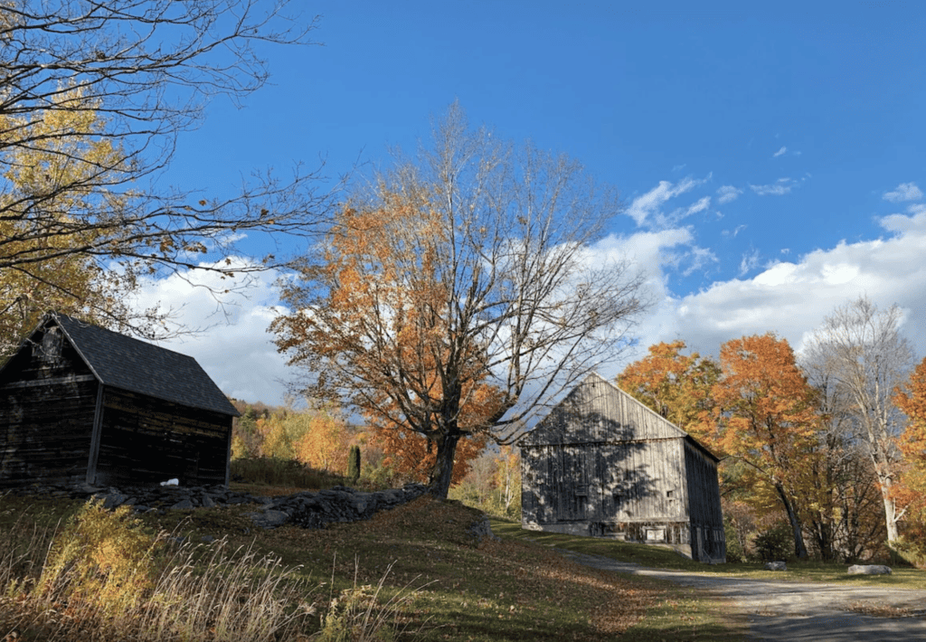 VRBO Braintree School House Cottage Fall Foliage