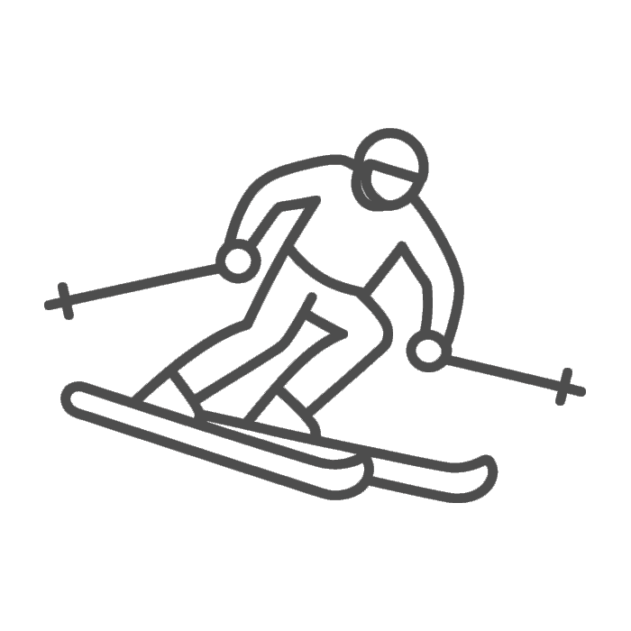 Ski-In-Ski-Out-Icon