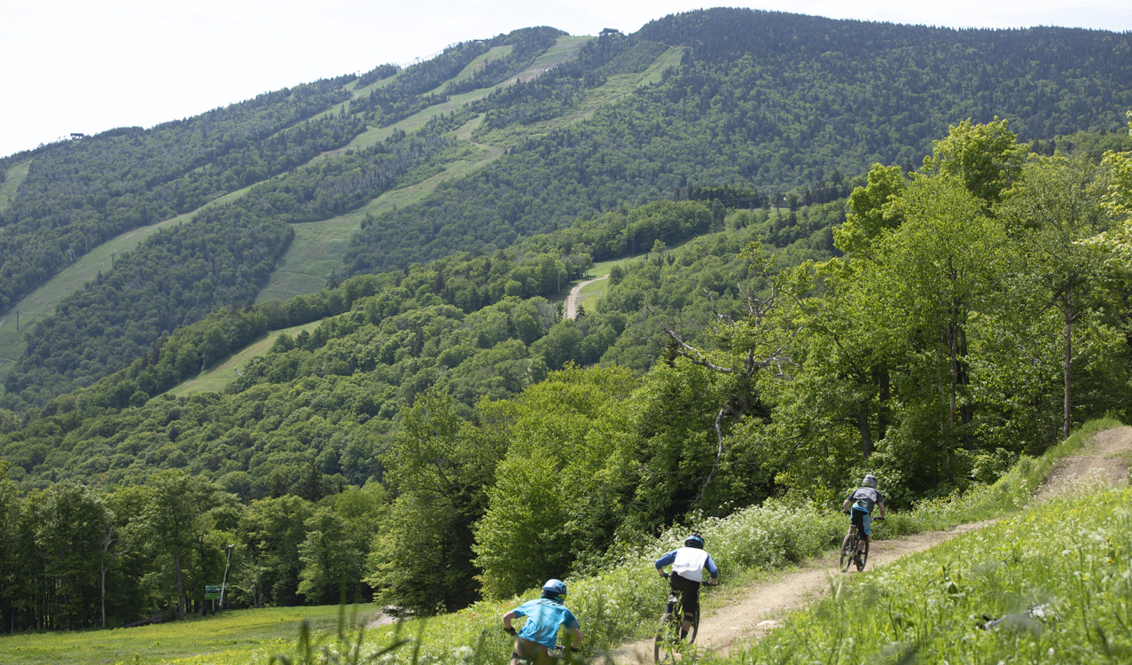 Killington Bike Park - Mountain View